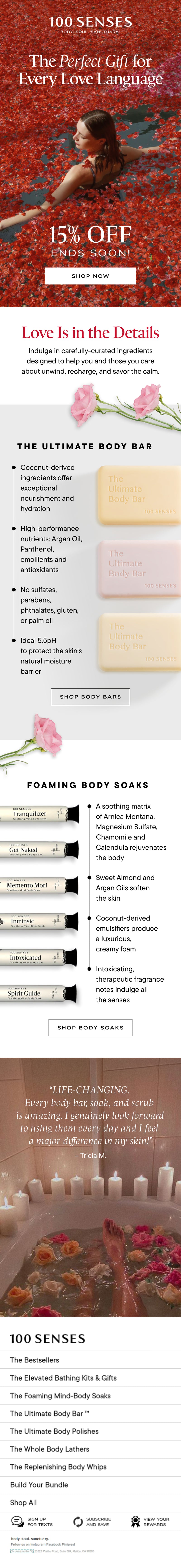 100 Senses Valentines Day Email Design