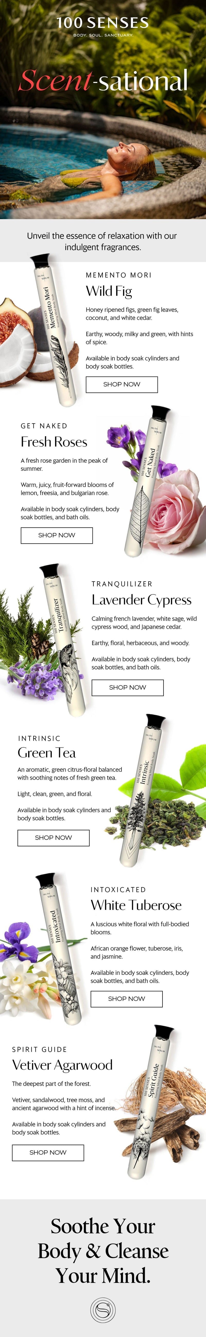 100 Senses Product Overview Email Design